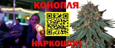 спиды Донской