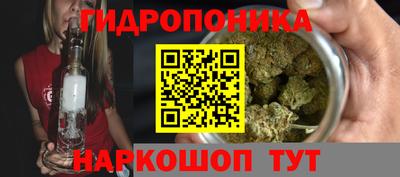 бошки Донецк