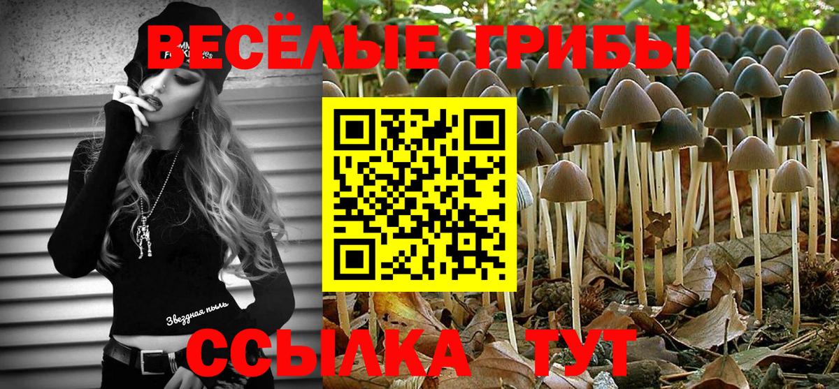Малгобек  Псилоцибиновые грибы мухоморы  Вход с VPN  Псилоцибиновые грибы Psilocybe 