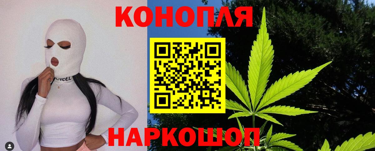 МАРИХУАНА OG Kush  Вход с VPN  МАРИХУАНА семена  Канабис сатива  Малгобек 